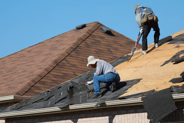 Best Roof Maintenance and Cleaning  in Waltham, MA